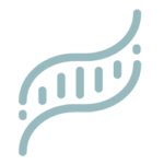 Icon 1 Icon 1